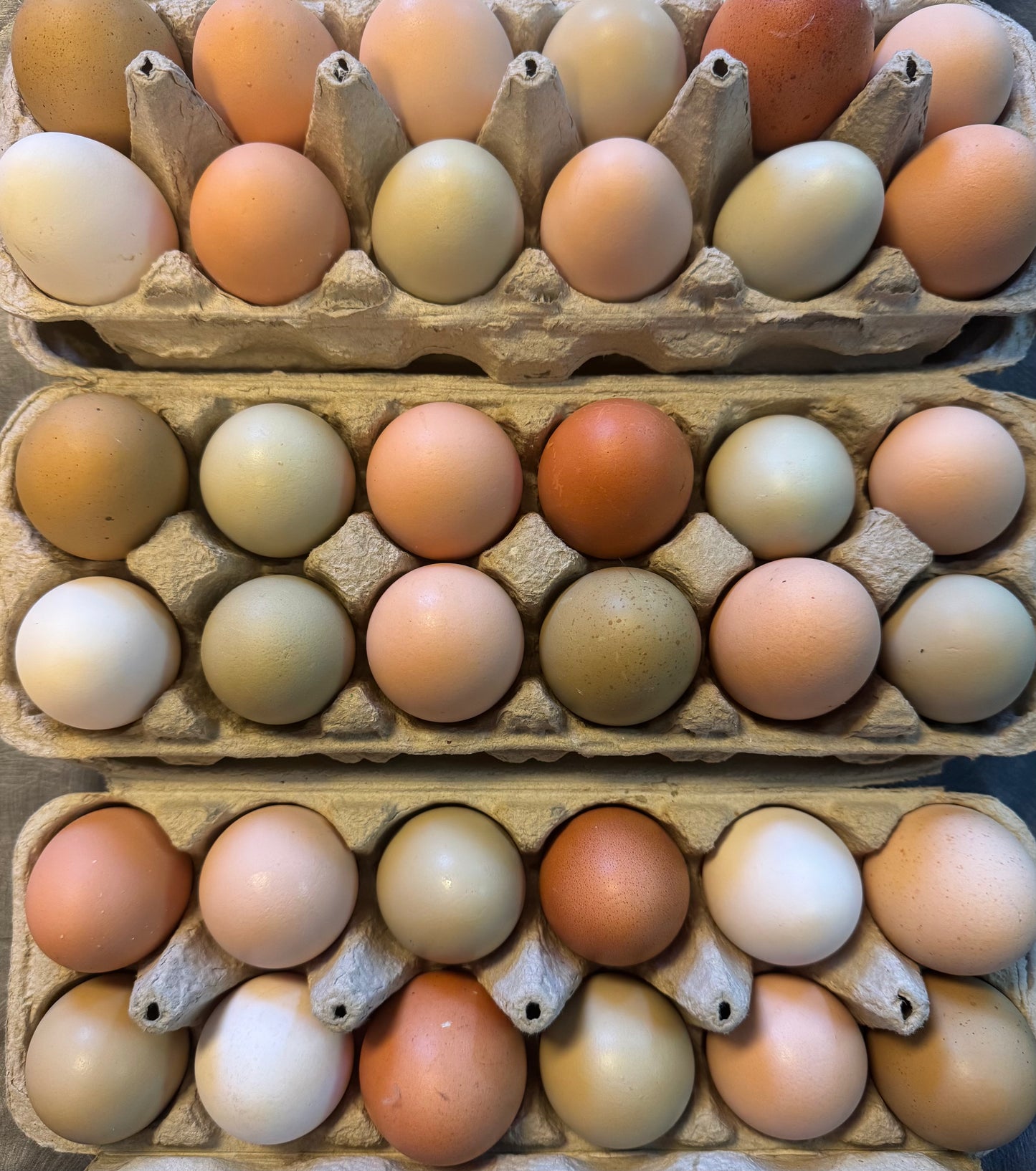 Farm Fresh Eggs (by the dozen) •Locals only•