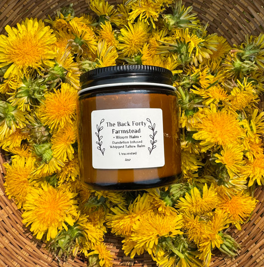 •Bloom Balm• Unscented Dandelion Infused Whipped Tallow Balm 4oz