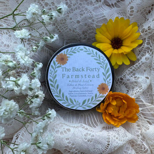•Petal & Leaf• Tallow & Plant Extracts Healing Salve 1oz