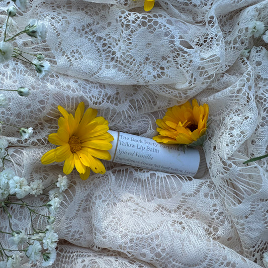 Tallow Lip Balm (Spiced Vanilla)