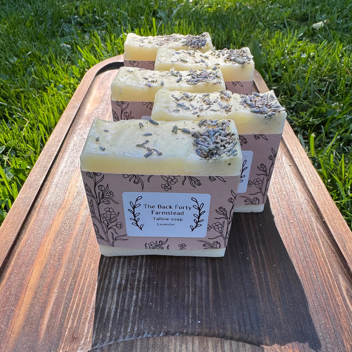 Tallow Soap - Lavender