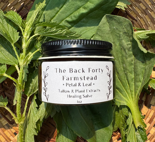 •Petal & Leaf• Tallow & Plant Extracts Healing Salve 1oz