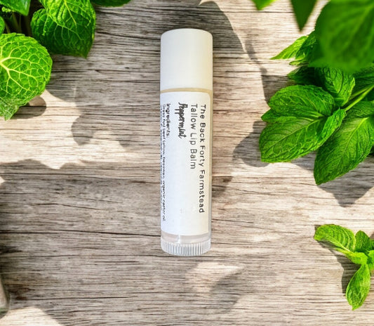 Tallow Lip Balm (Peppermint)