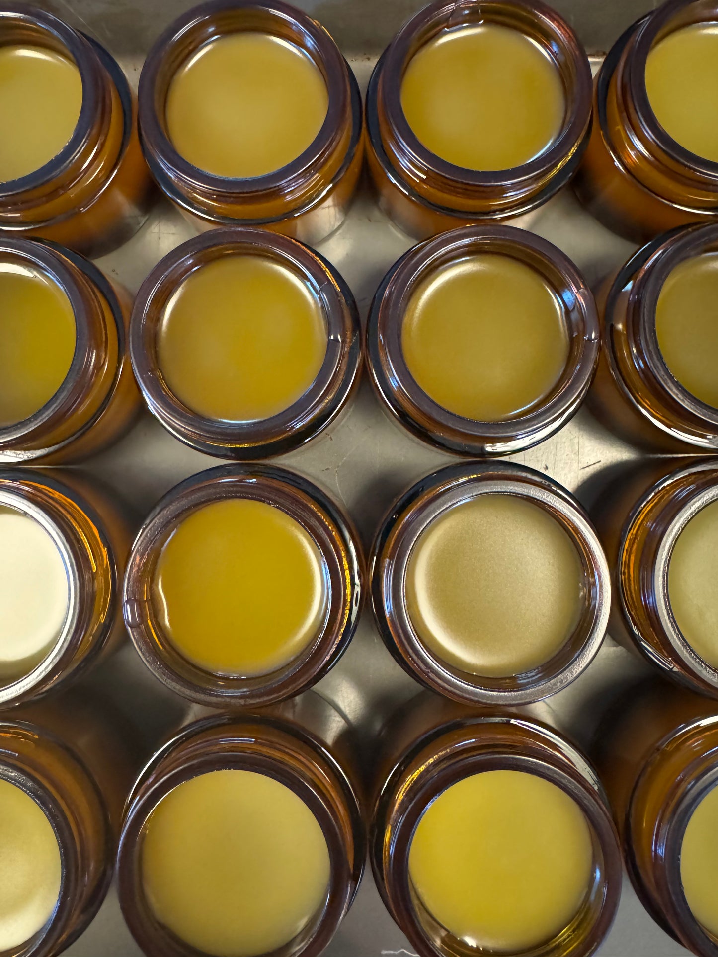 •Petal & Leaf• Tallow & Plant Extracts Healing Salve 1oz